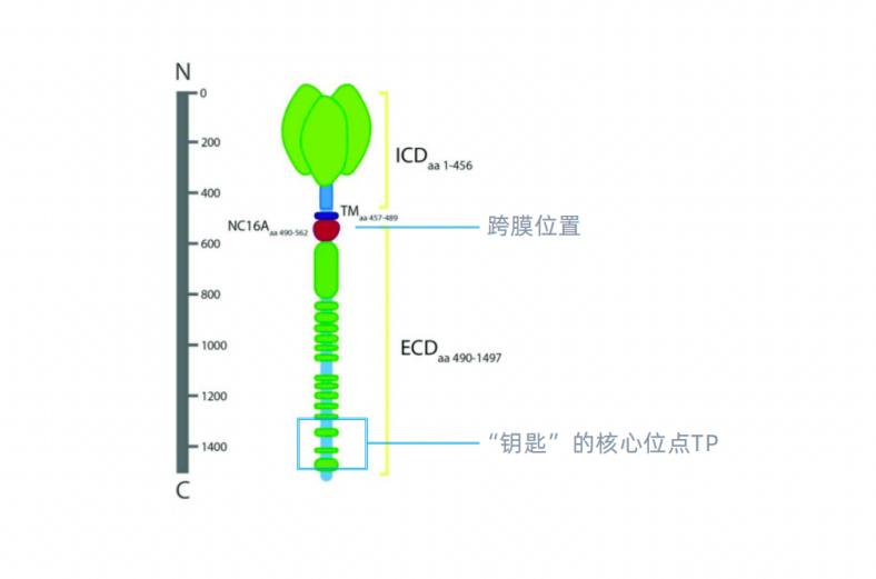 未名拾光属于未名集团吗,未名拾光怎么样