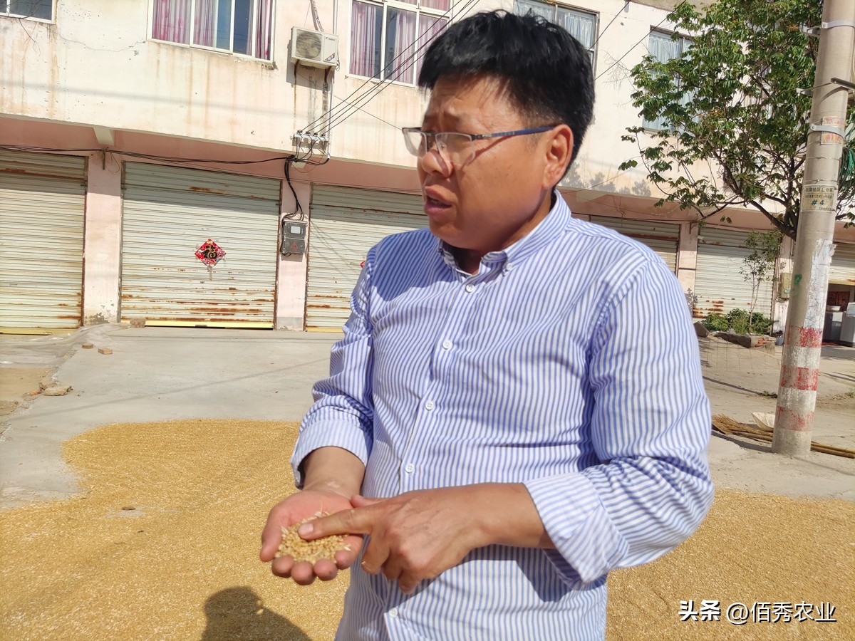 现在什么药代替磷化铝,磷化铝能不能被替代