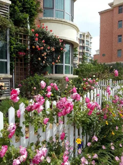 狂客上联,狂客七字对联上联