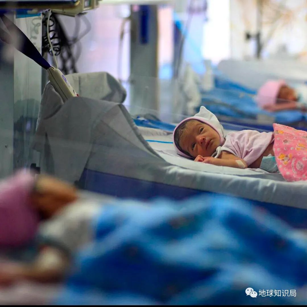 地球知识局俄罗斯,地球知识局俄罗斯远东