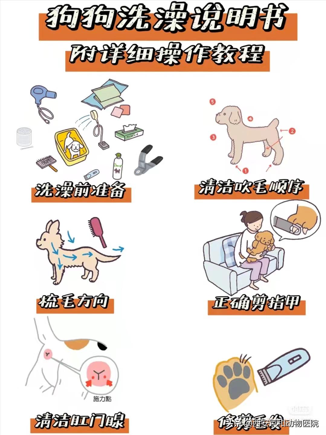 狗狗洗澡流程家庭版,狗狗洗澡全过程宠物店