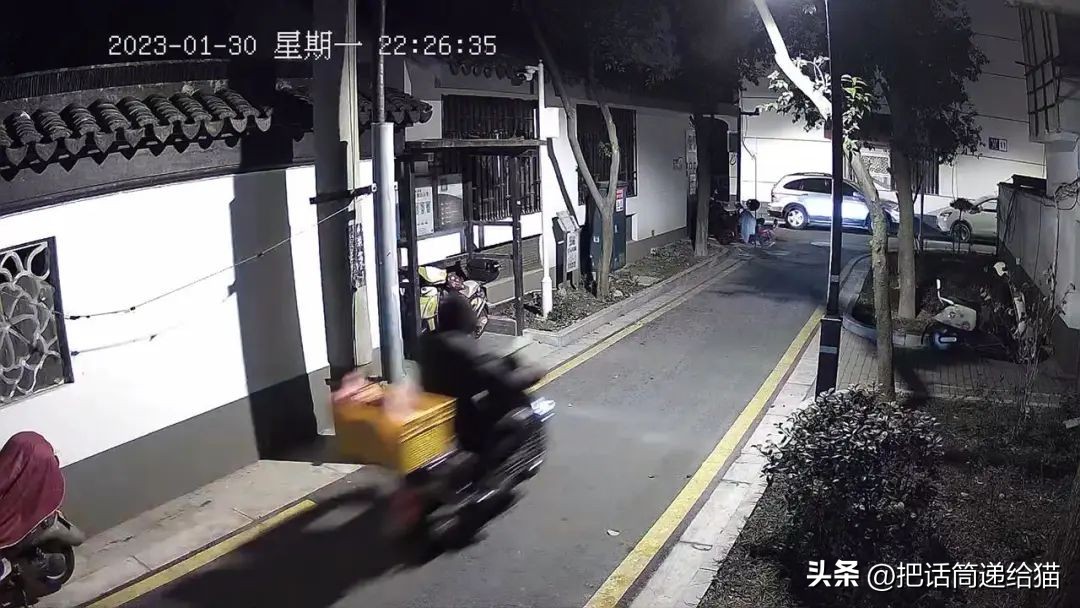 江苏偷猫事件,偷猫人被抓新闻