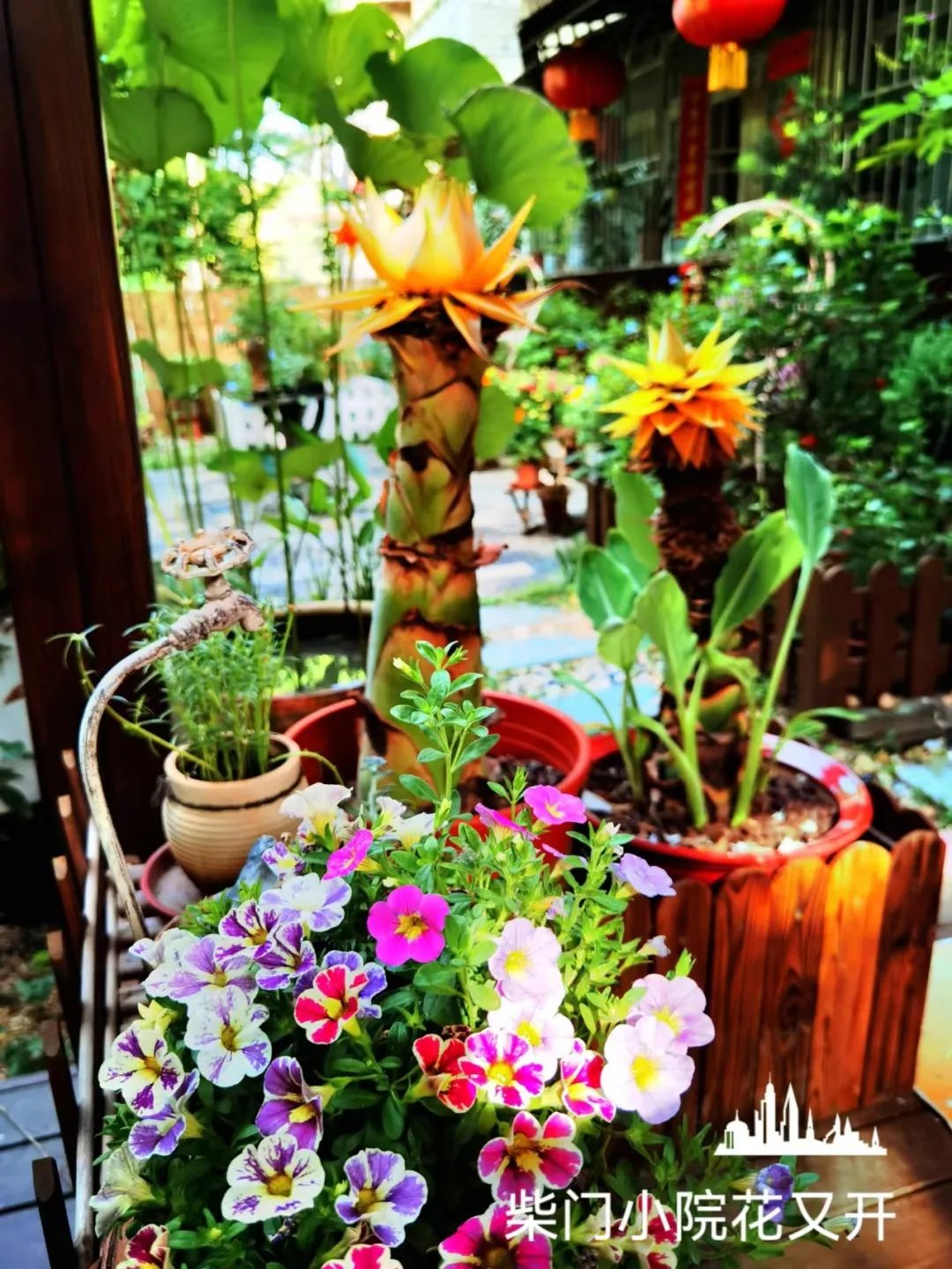 很多人羡慕的阳台,让别人羡慕的阳台