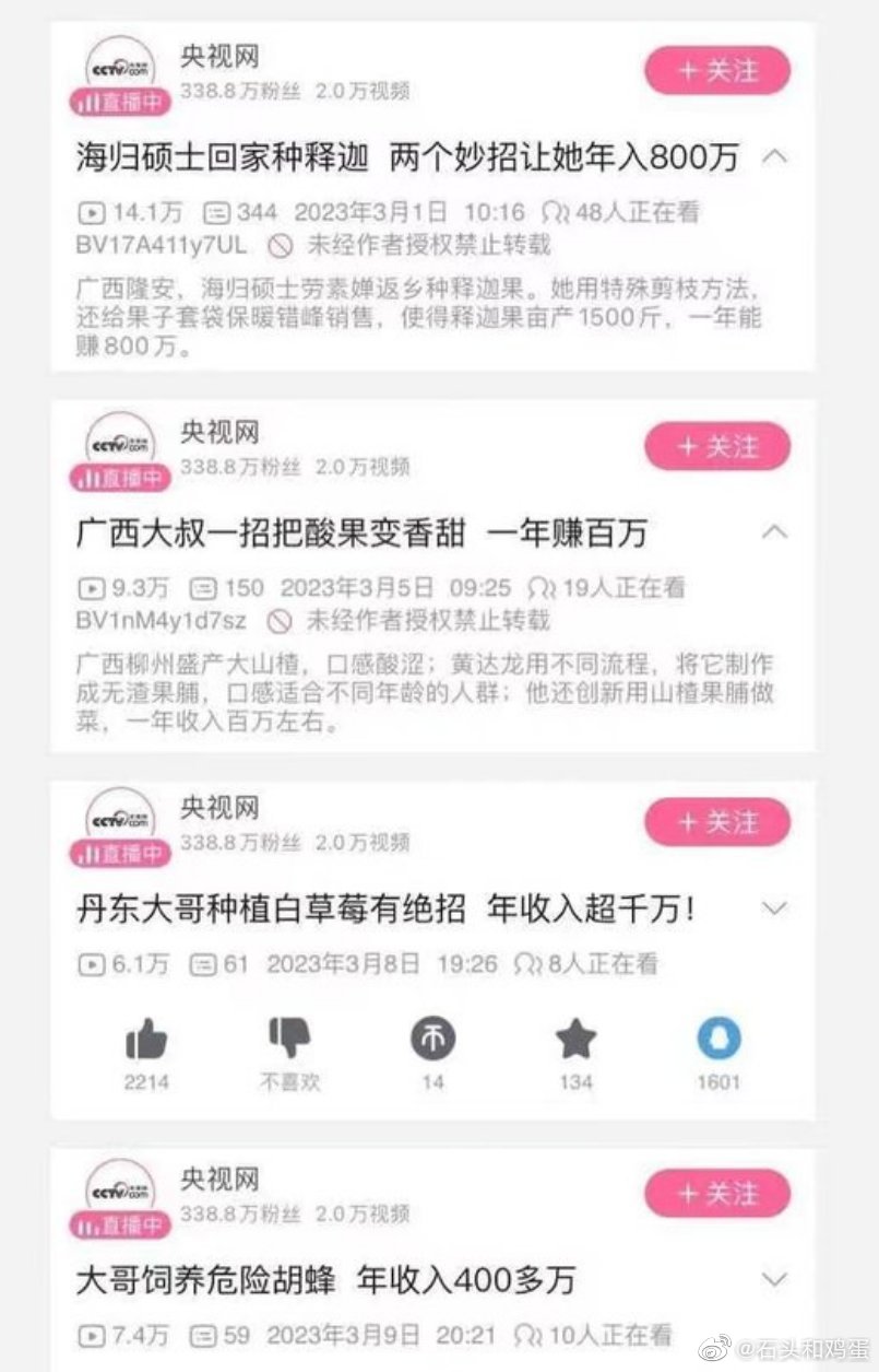 钱真有那么好赚?为什么在央视的报道里,人人都是年薪100万