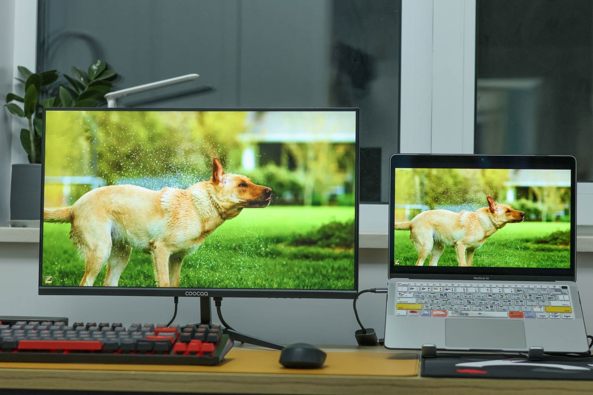 优派显示器399元,399显示器评测