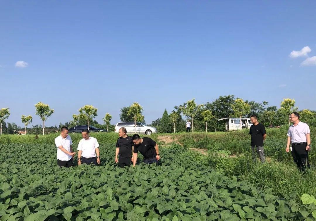 生态文明绿色发展先行区信阳,信阳绿色发展