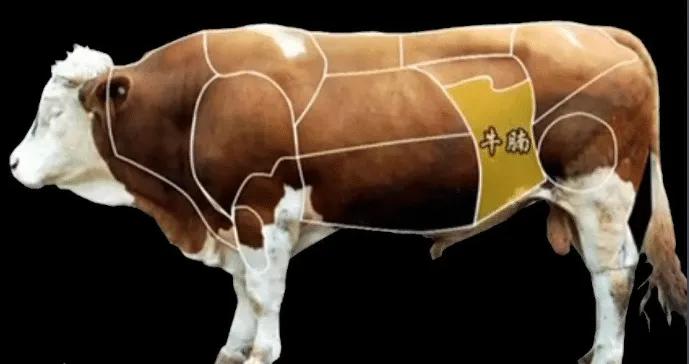 牛腩分割完整视频,牛腩筋分割视频