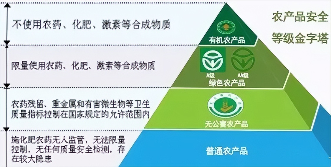 日本人山东租1500亩地的故事 (2006年日本人在山东租50亩地)