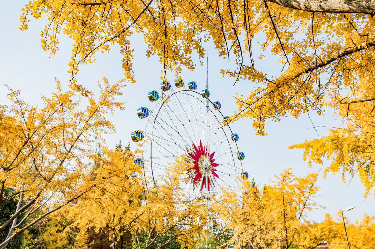 芜湖市工程项目公示,安徽芜湖第九次集中开工项目