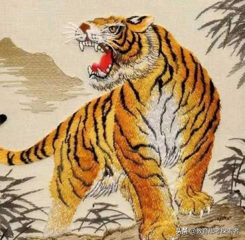 虎年给孩子的话,虎年寒假课程