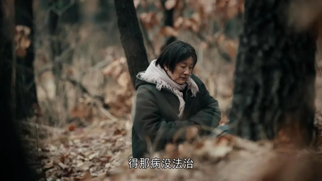 2023年已完结电视剧排行榜前十名,2023年热门电视剧排行榜前十名