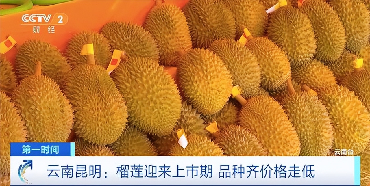 空运菲律宾榴莲价格,菲律宾榴莲从哪里运到中国