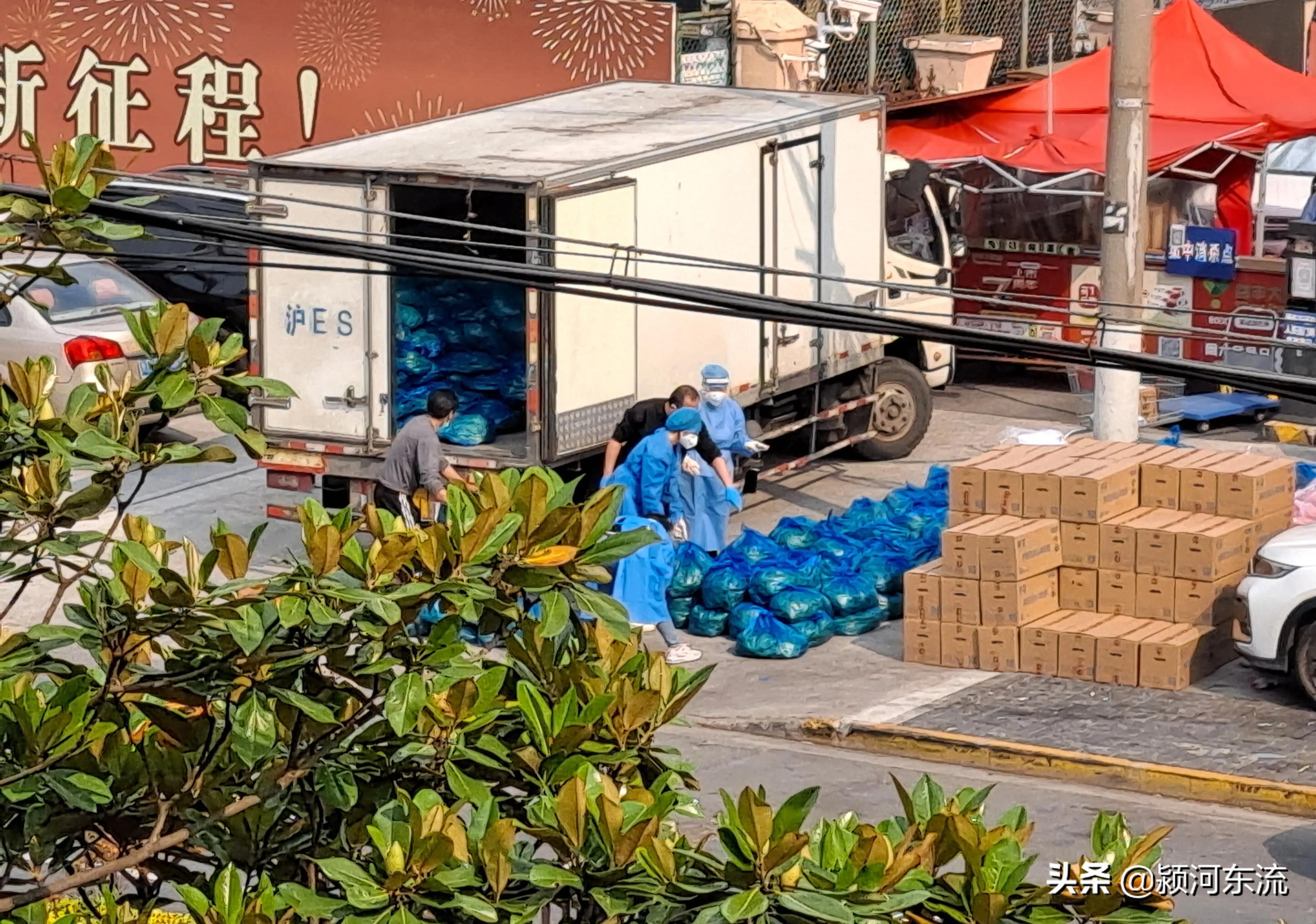 上海抗疫与深圳抗疫,上海自创抗疫词汇