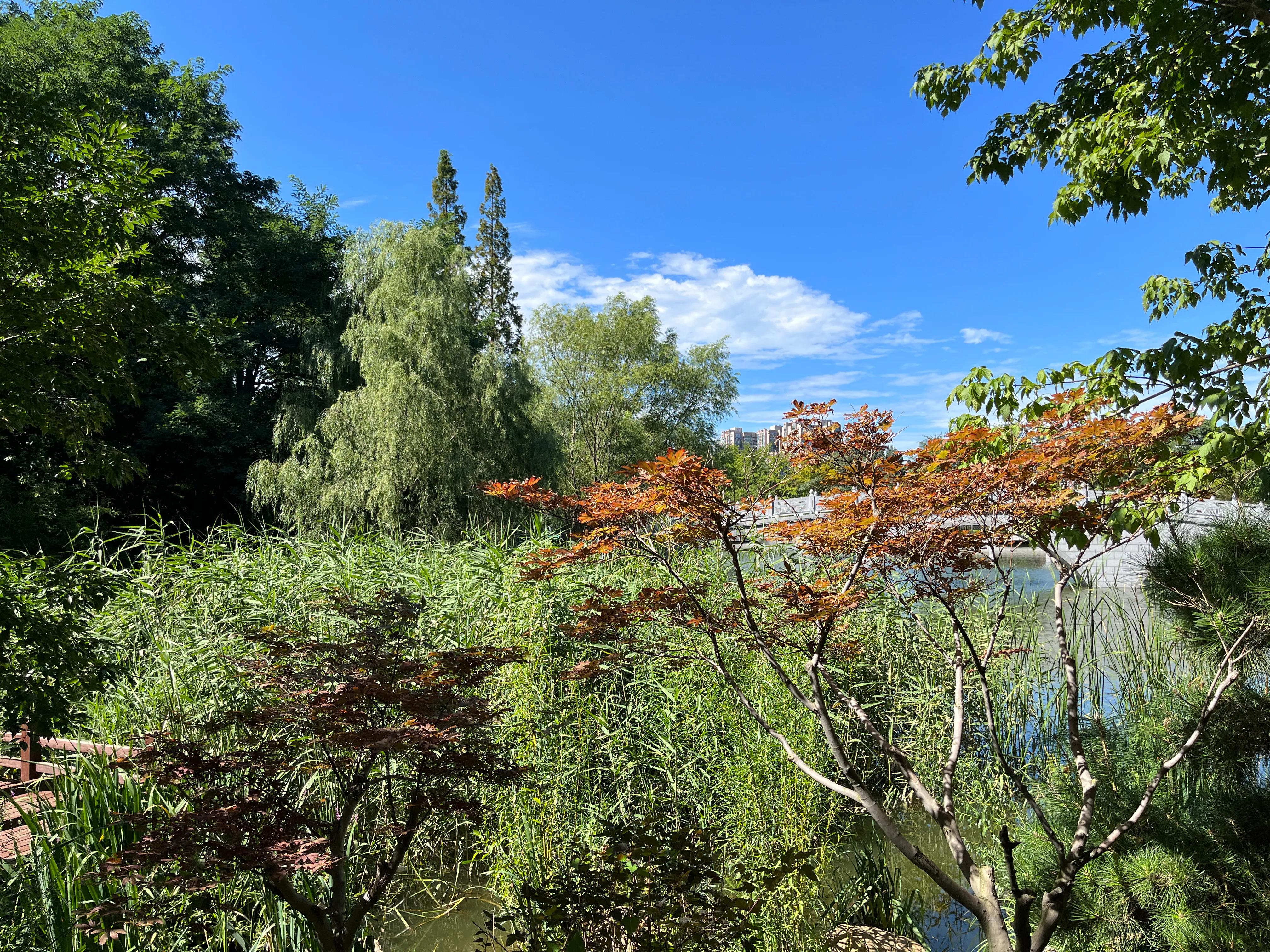 大连渤海旅游攻略最新,北国之春大连旅游攻略