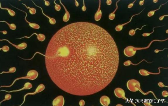 孩子长得像前女友有科学依据吗,孩子长得像老公但不是老公的