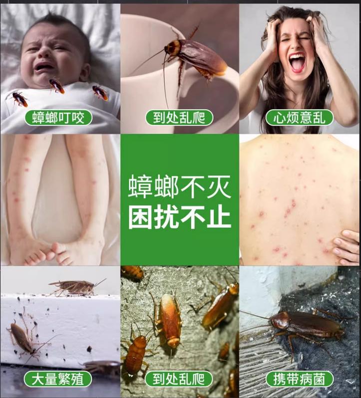 家里很多蟑螂用什么方法最好,家里出现蟑螂千万不要怕