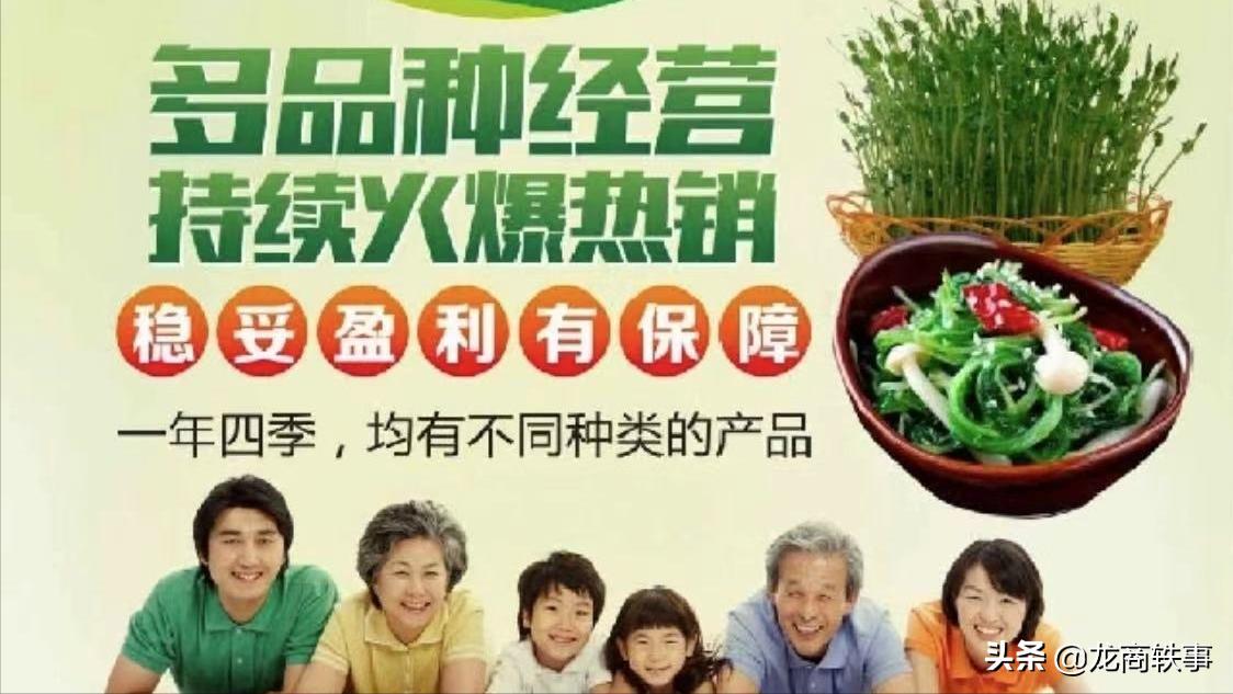 专业致力于青饲料植物工厂的科技创新，解决了养殖户大问题
