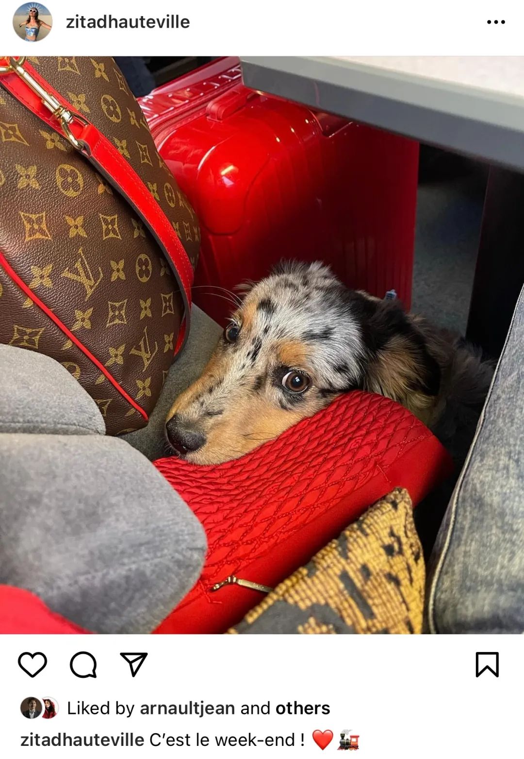 顶豪找贵族，LV家小公子的女友原来是伯爵之后…