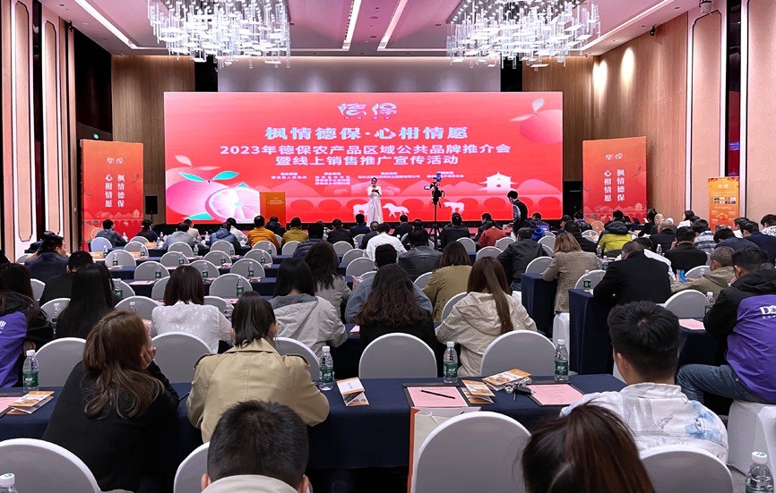 2023年德保农产品区域公共品牌推介会暨线上销售推广宣传活动成功举行
