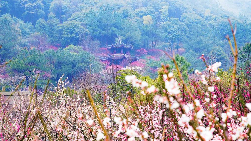 预测刷屏！疫情今春有望结束？适合2月去的18个大美山河准备好了