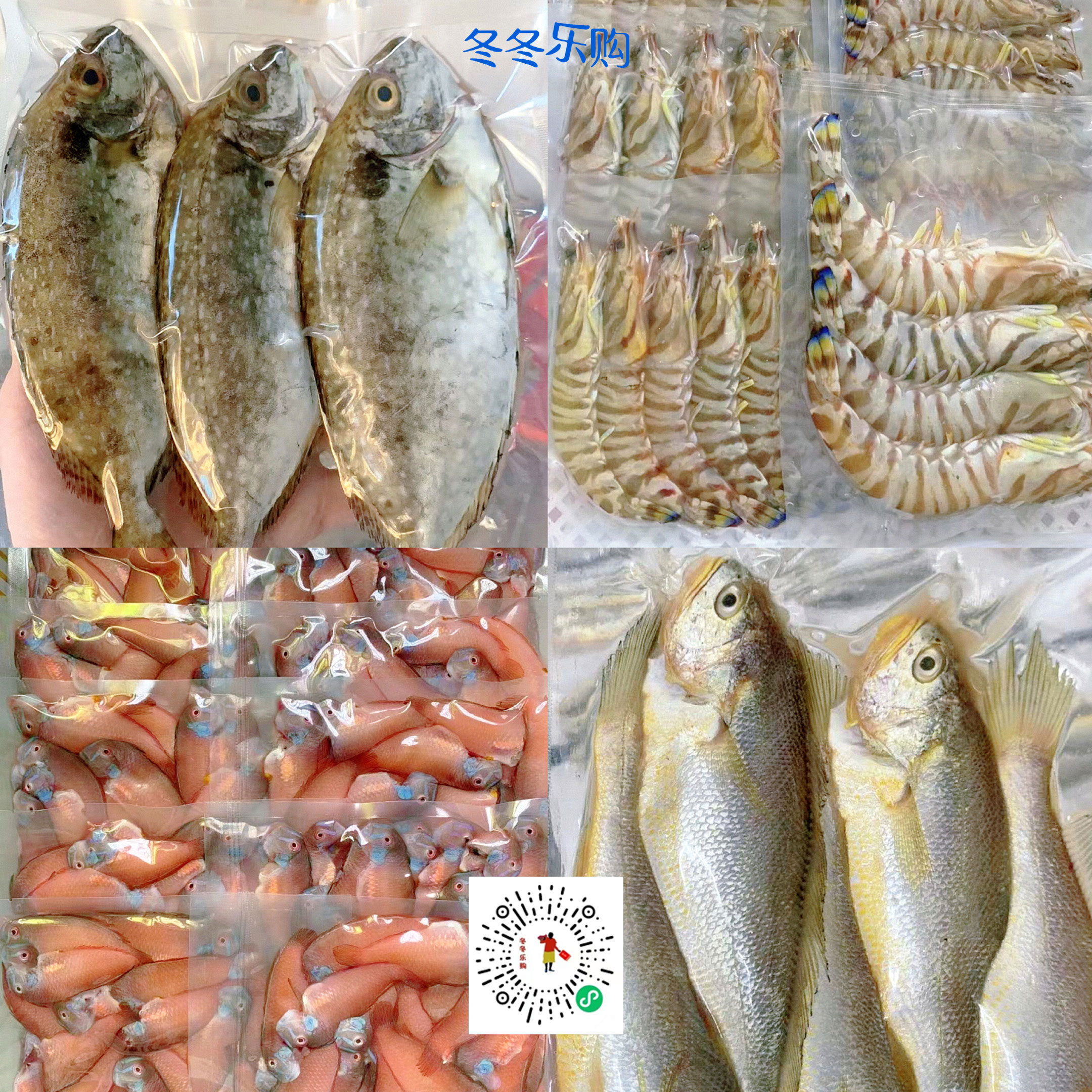 吃海鲜便宜的海边城市,国内哪个城市吃海鲜最好