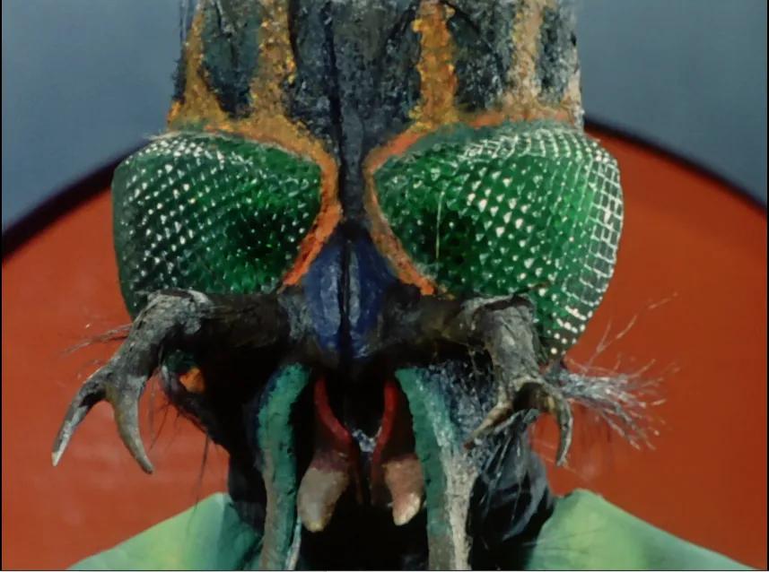 假面骑士初代怪人,初代假面骑士中恐怖的怪人