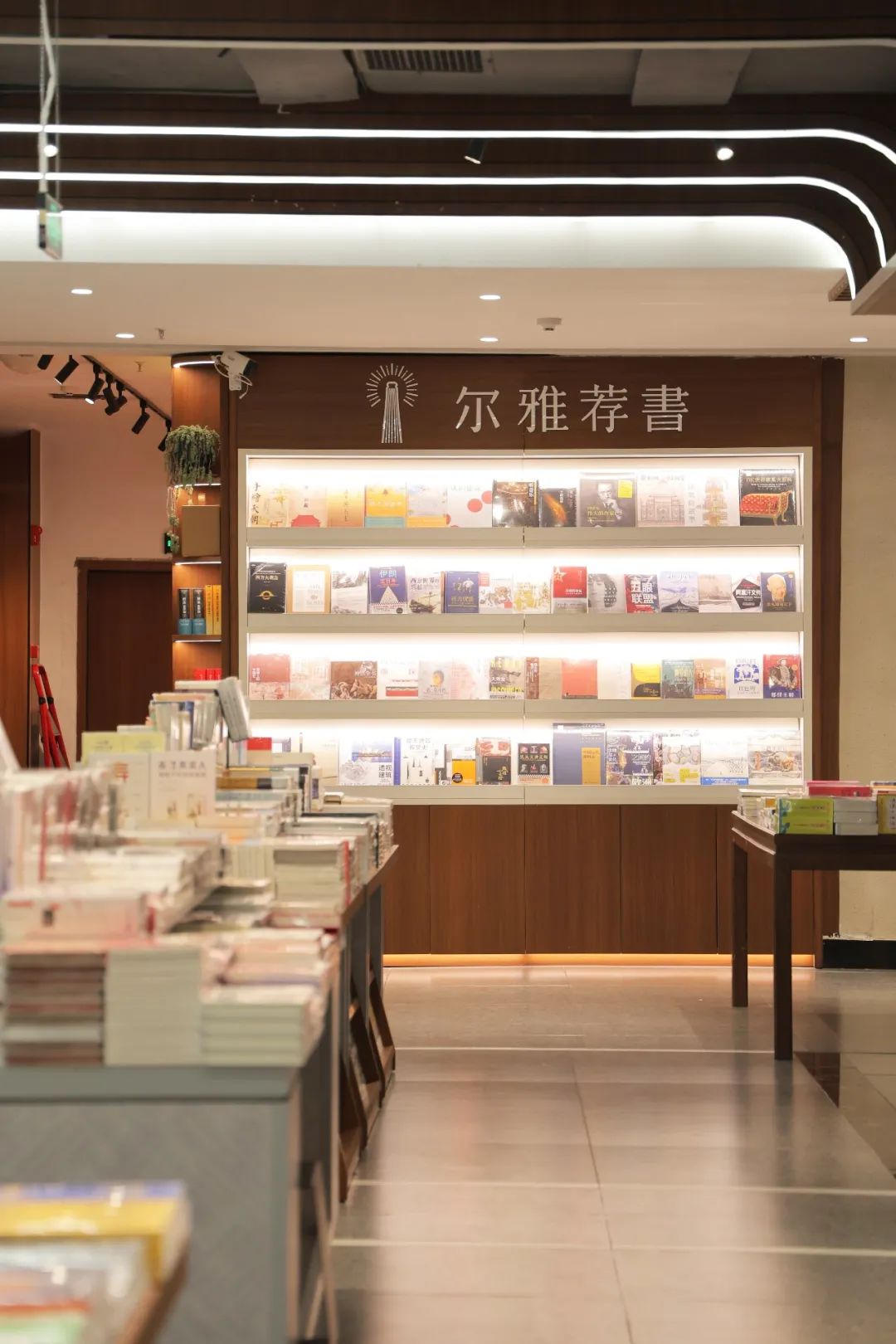 走进书店读书心得体会,走进图书馆感受书香气息