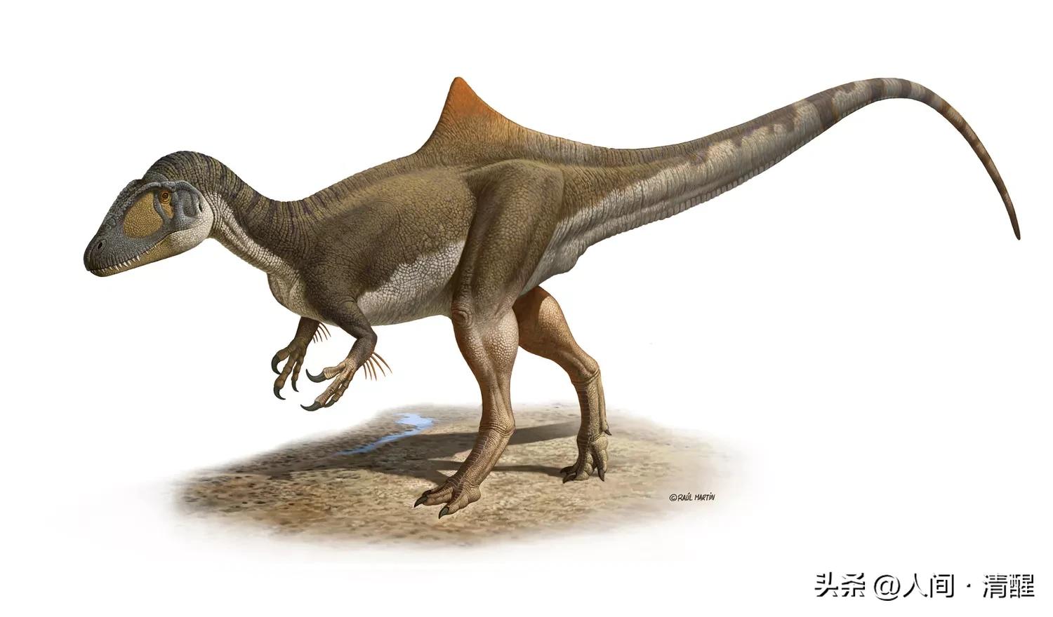 游星方舟奇怪的恐龙,世界上最奇葩的恐龙是什么恐龙