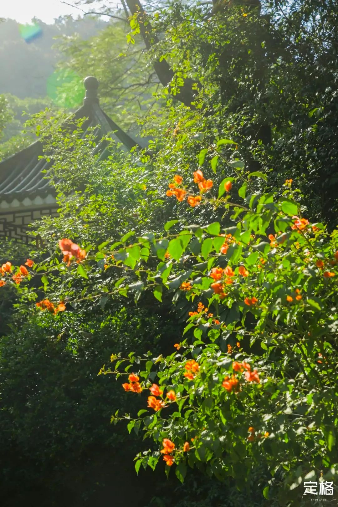 深圳10条入门登山线路推荐,深圳十大山峰最新登山攻略