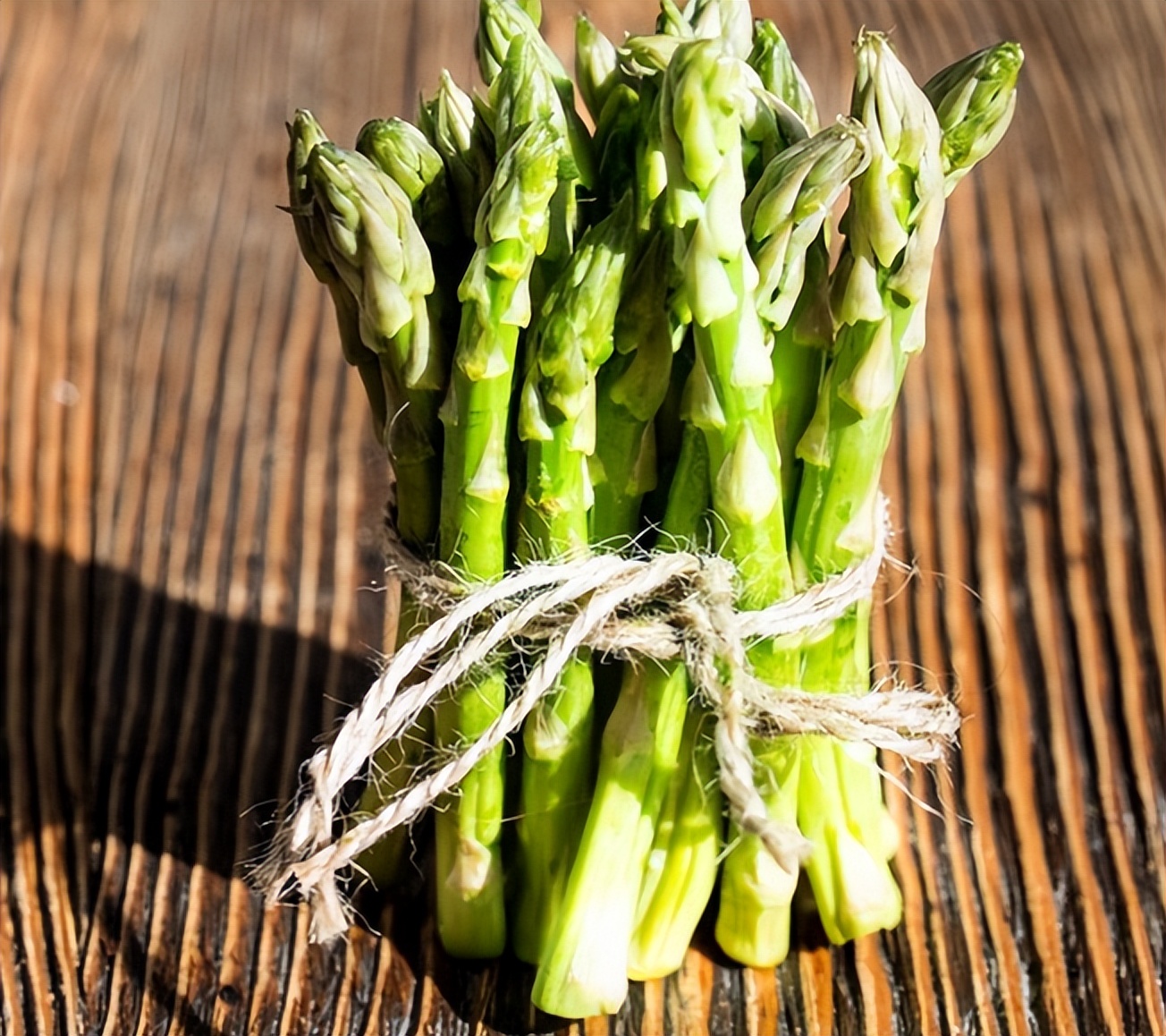 阳台种芦笋怎么养才能长得快,阳台适合栽什么样的芦笋