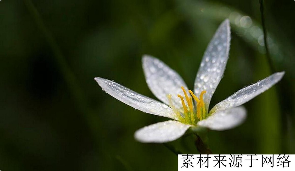 家里有亲人过世三年的禁忌,过世父亲的遗物留不留