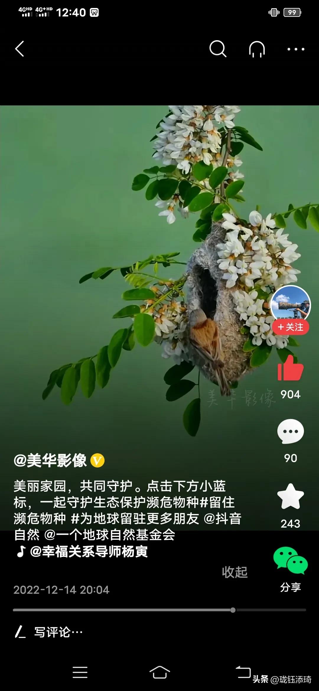 这是我见过的鸟儿最美的房子没有之一