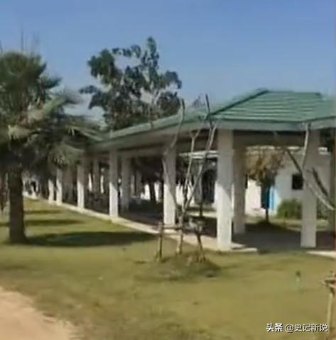 傻小子创业项目,傻小子自学软件