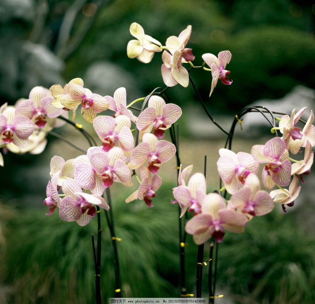 妊娠情感事记（2）彩超室里的尴尬让我对医生的工作多了尊敬