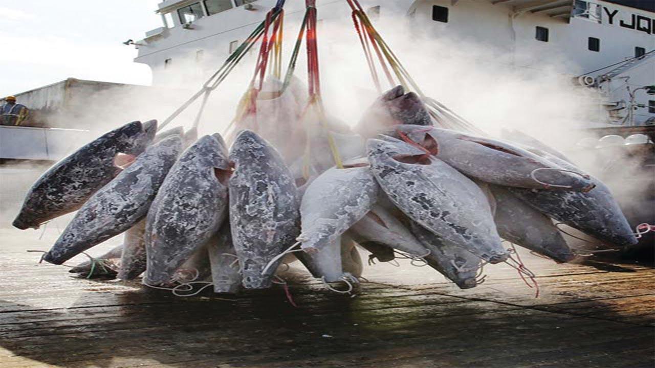 隐藏在农村的暴利项目，涨价20%仍被日本抢购，日媒：中国赢麻了