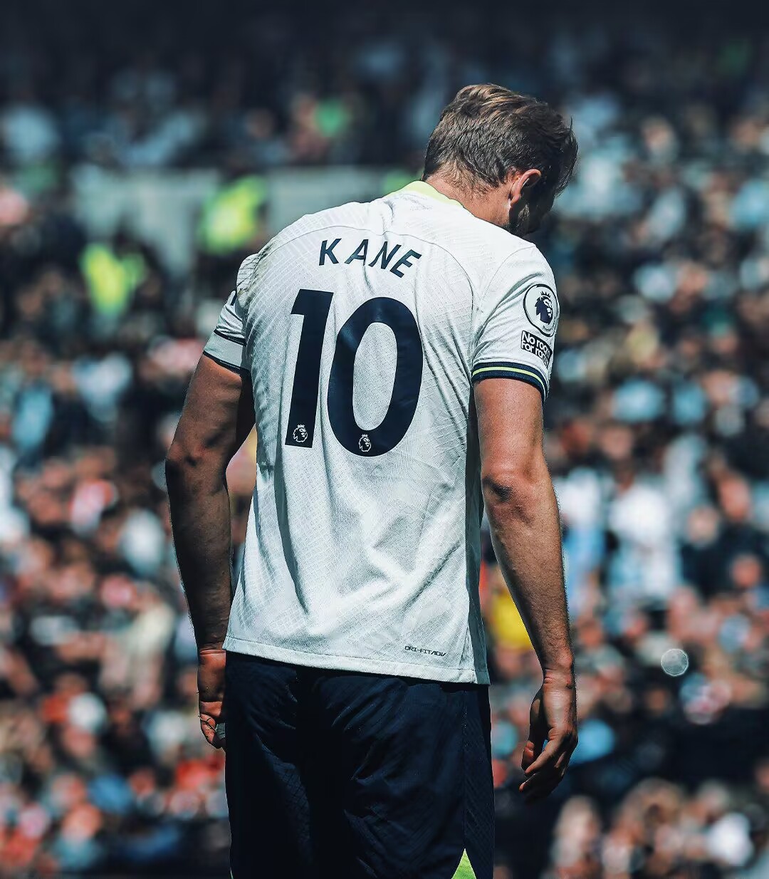 哈里凯恩生涯冠军,哈里凯恩多少次决赛