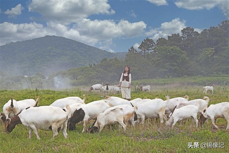 呼伦贝尔单人旅行,呼伦贝尔旅行8天行程