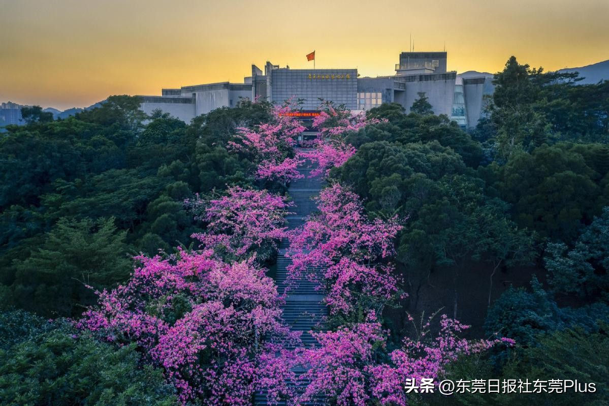 全市文旅工作推进会召开,广东省文化强省六大工程