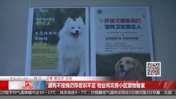 路人遇女子遛狗不拴绳直接报警,女子遛狗不拴绳吓到路人