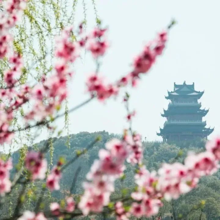 今日开通高铁,快上车流程