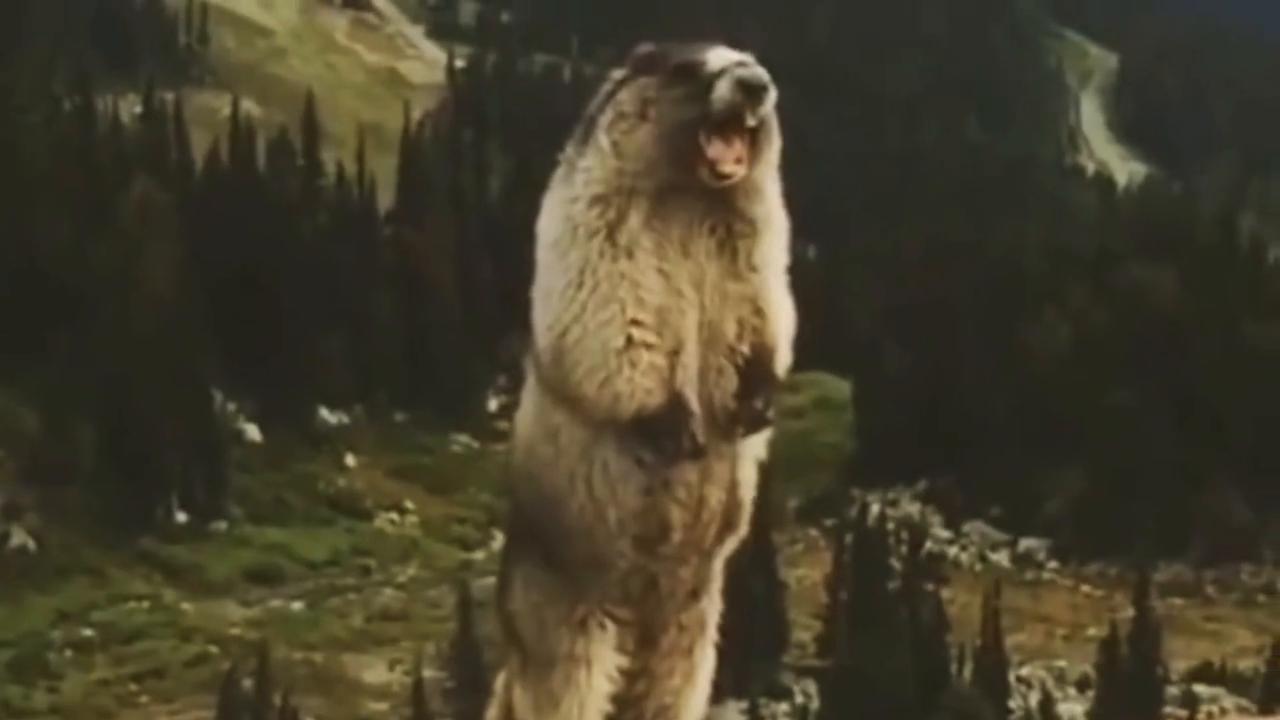 奥特曼卡片经典16弹好卡大全,29弹经典版奥特曼卡片sr卡