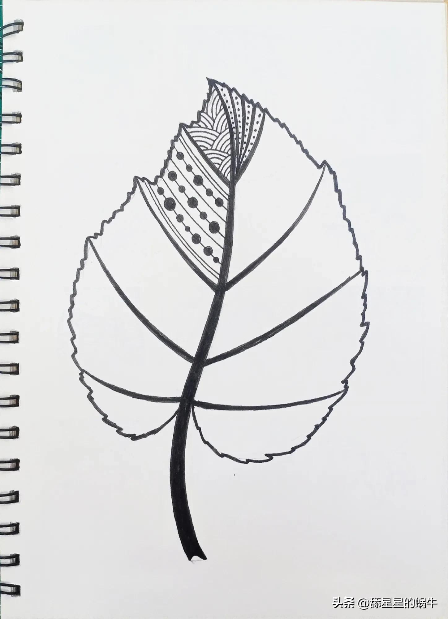 树叶黑白线描画简单花纹,点线面的树叶创意线描