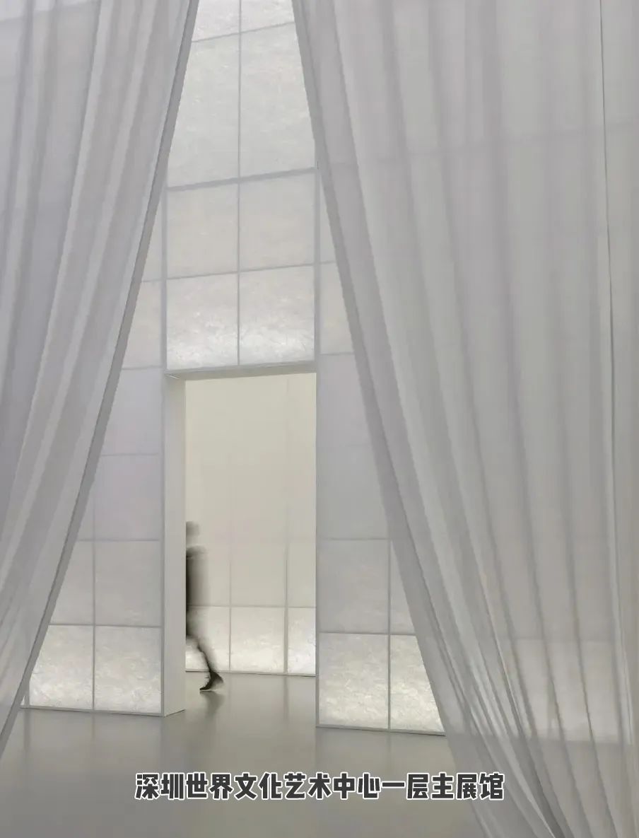 会呼吸的纸实验,杜邦纸真的不怕水吗