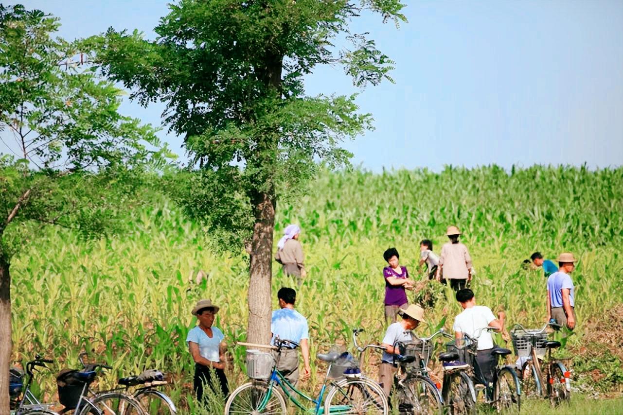 鑸瑰埌鏈濋矞鍗歌揣,鑸瑰埌鏈濋矞