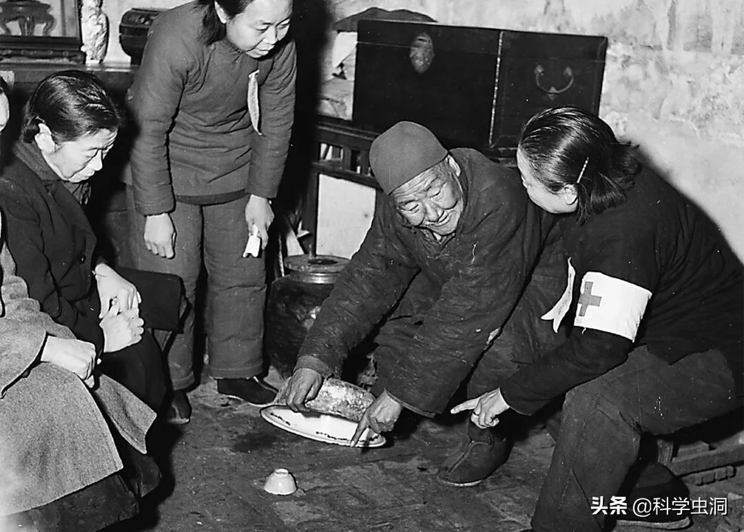 中国本土麻雀是啥样的,外国麻雀来源于哪