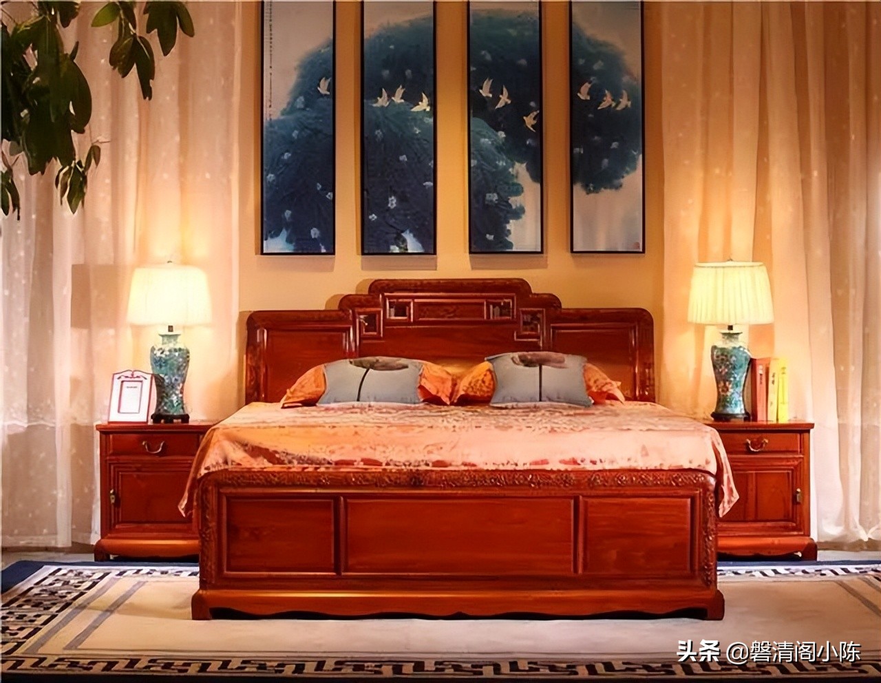 什么是大果,大果紫檀是啥树