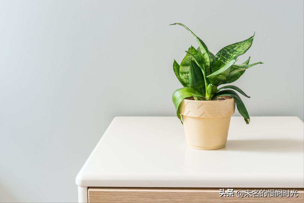 在家怎样制作可以赚钱的副业,老年人在家赚钱简单的副业