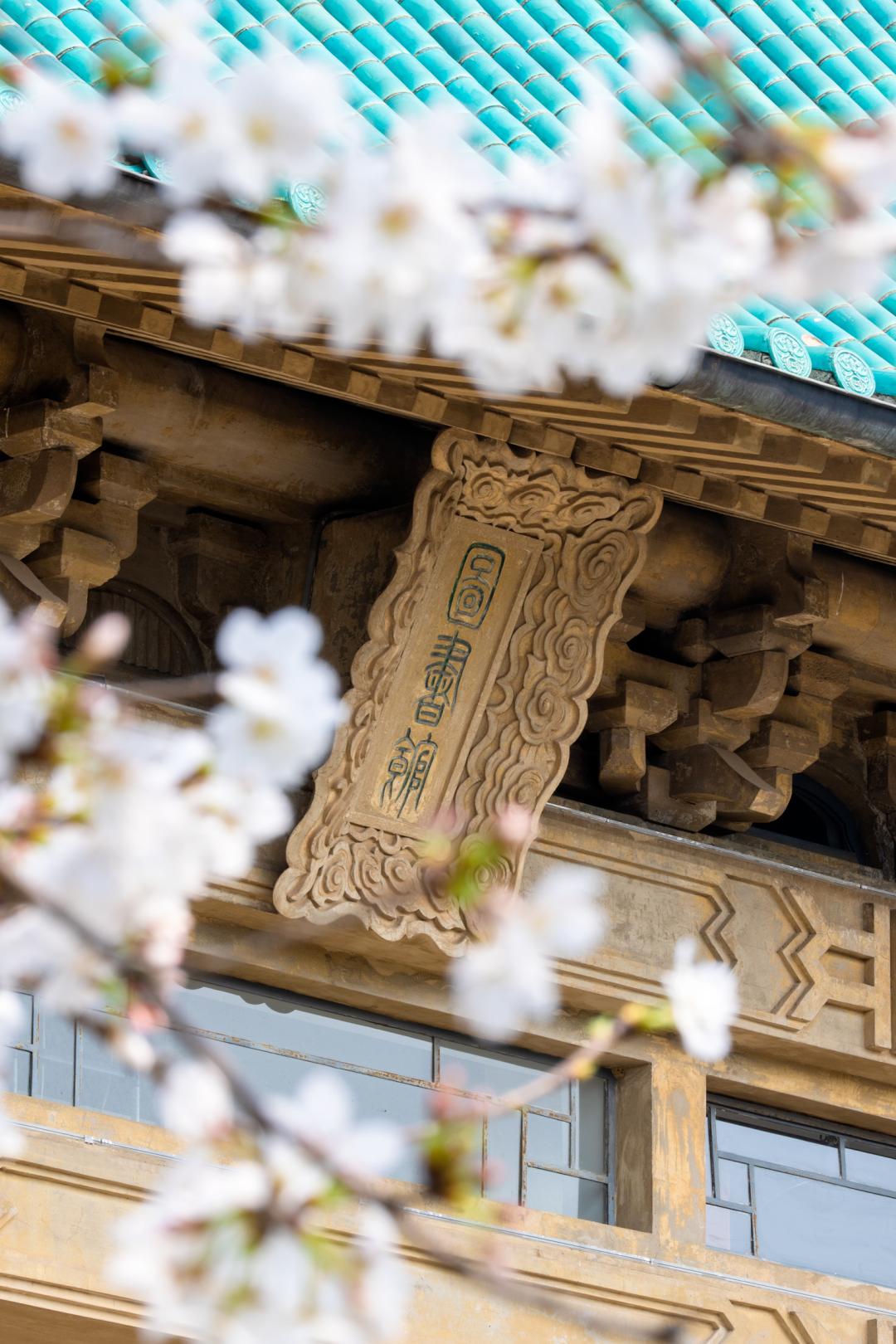 中国最美的大学无数人向往的地方,世界最美的大学校园