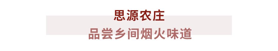 古徽州秋季自由行攻略,寻梦江南水墨徽州皖南古村落游记