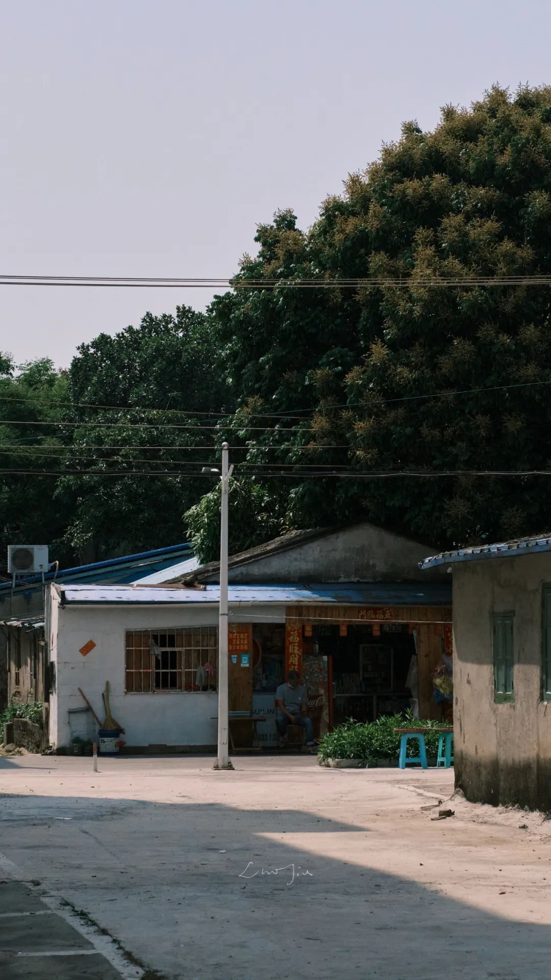 你根本没有去过侨港